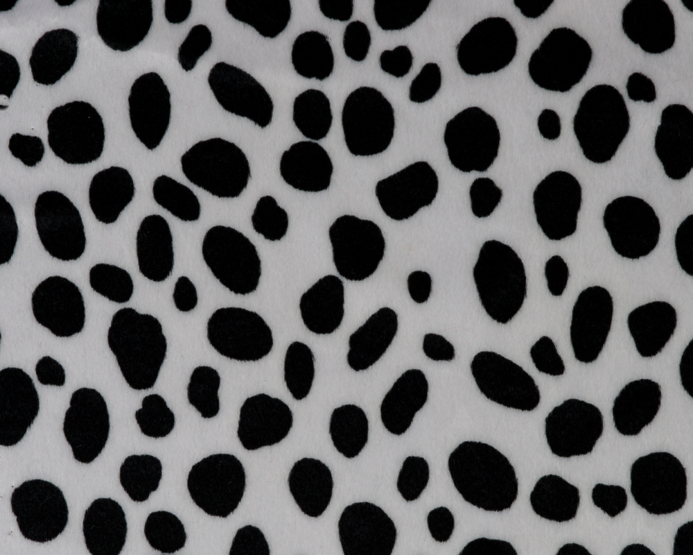 Animal Print Dalmatian.