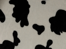 Animal Print Cow Black and White