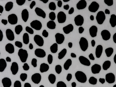 Animal Print Dalmatian