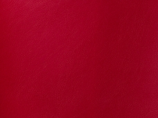 Aqua Marine Red