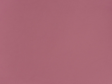 Aqua Marine Rose