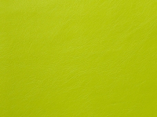 Aqua Marine Lime