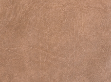 Buffalo Camel Print