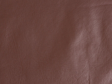 Buffalo Chocolate