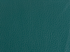 Caravelle Teal