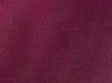 Clasico Burgundy