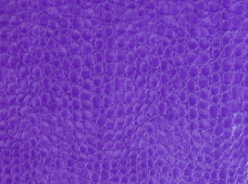 Crocco (Unsupported) Purple