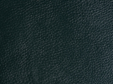 Deluxe Green