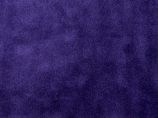 Euro Purple