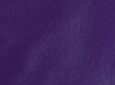 Greenland Purple