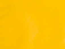 Greenland Yellow