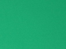 Poly Poplin Spring Green