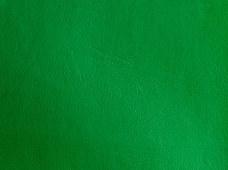 Promotional K. Green