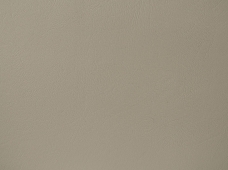 Promotional Nickel