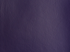 Promotional Purple