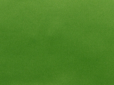 Satalure Apple Green