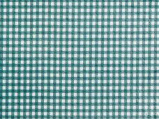 Tablecloth Gingham Check Green