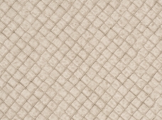 Tile Stone