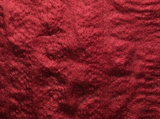 Tissue Lamé Red